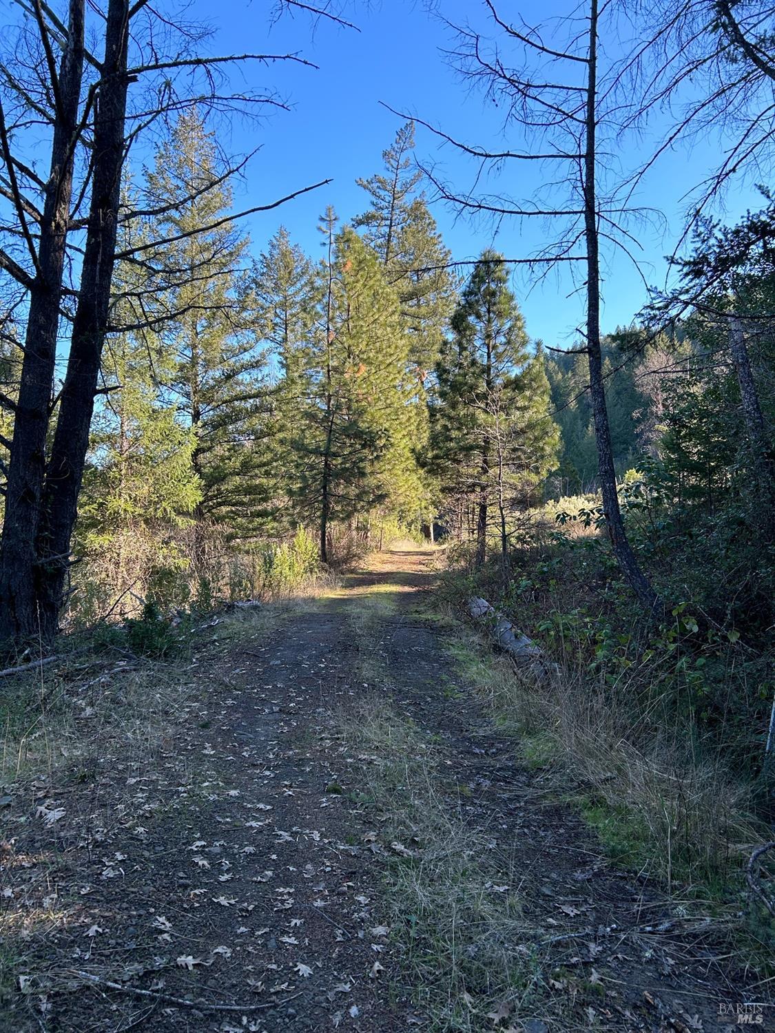 9000 Spyrock Road Covelo, CA 95428 - Photo 11 of 33 a view of a yard