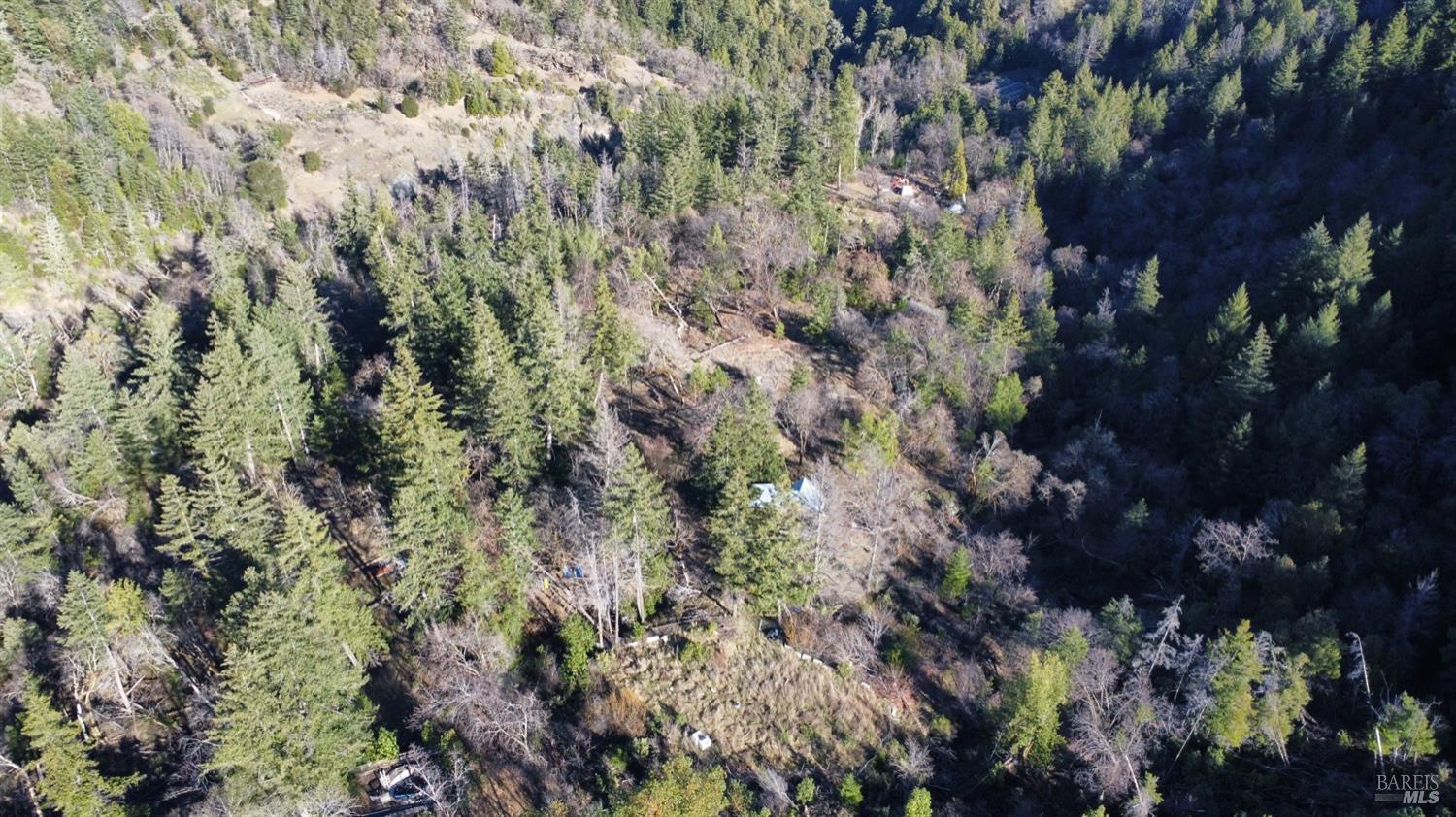 9000 Spyrock Road Covelo, CA 95428 - Photo 12 of 33 a view of a forest