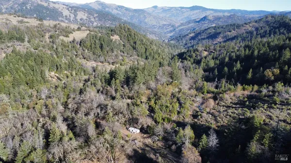 a view of a forest with mountains in the background