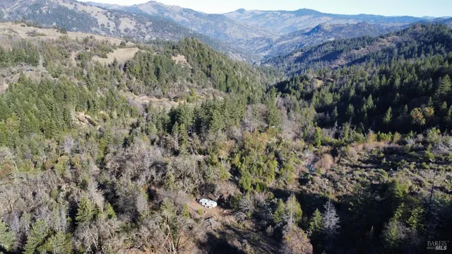 a view of a forest with mountains in the background