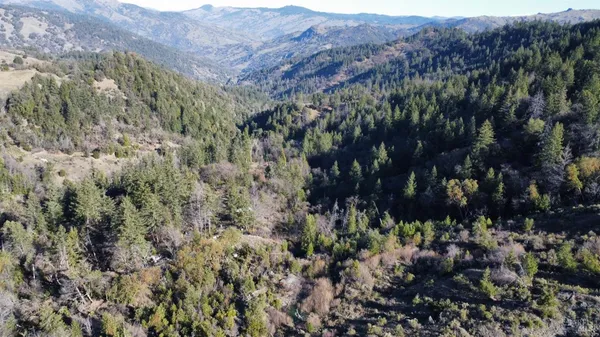 a view of a bunch of trees
