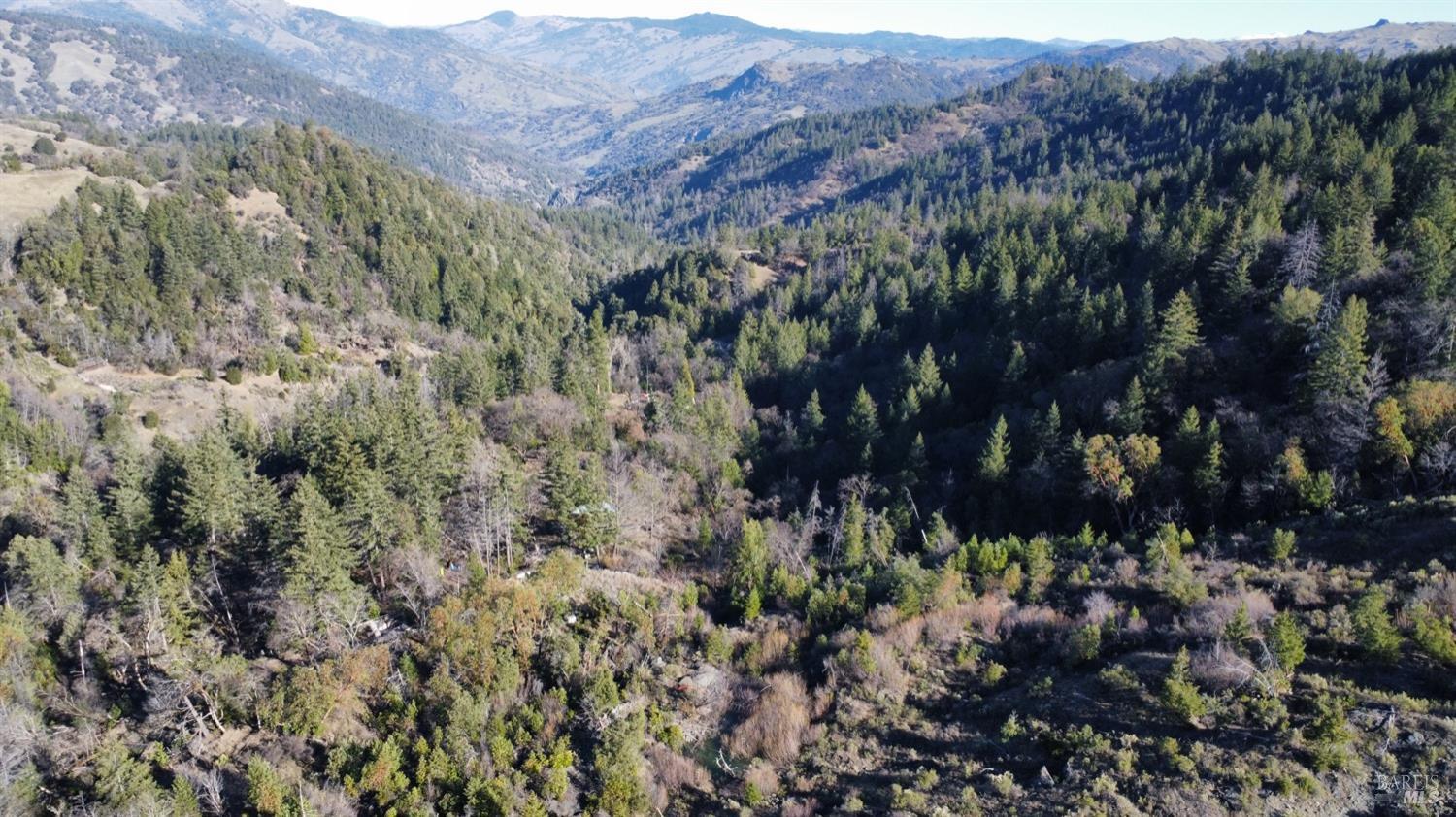 9000 Spyrock Road Covelo, CA 95428 - Photo 15 of 33 a view of a bunch of trees