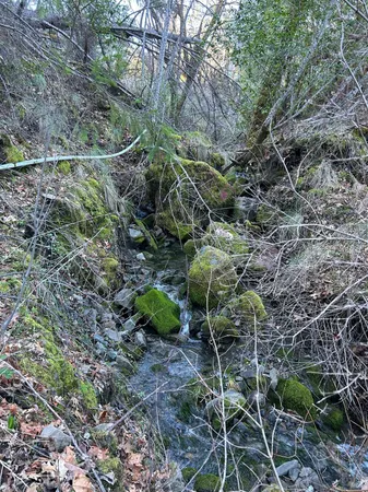 a view of an outdoor space and a yard