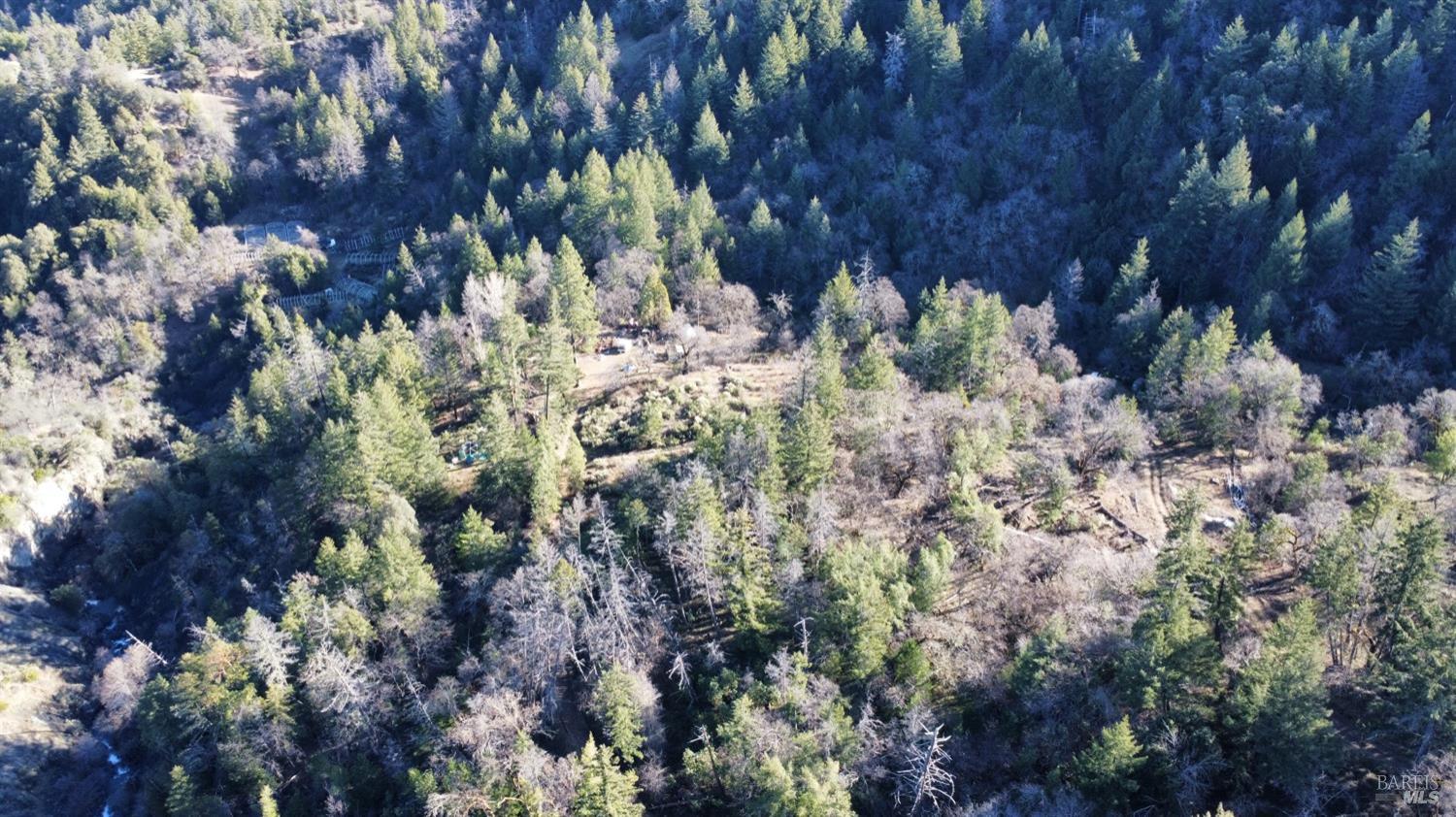 9000 Spyrock Road Covelo, CA 95428 - Photo 19 of 33 a view of a tree with a tree