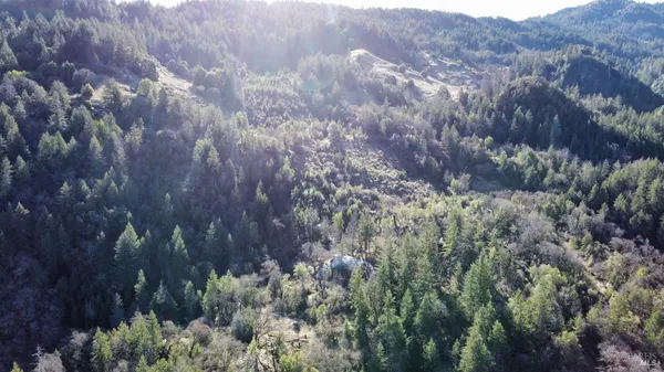 a view of a dry yard