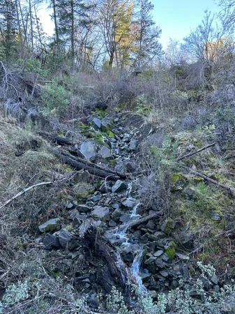 a view of a large area with lots of bushes