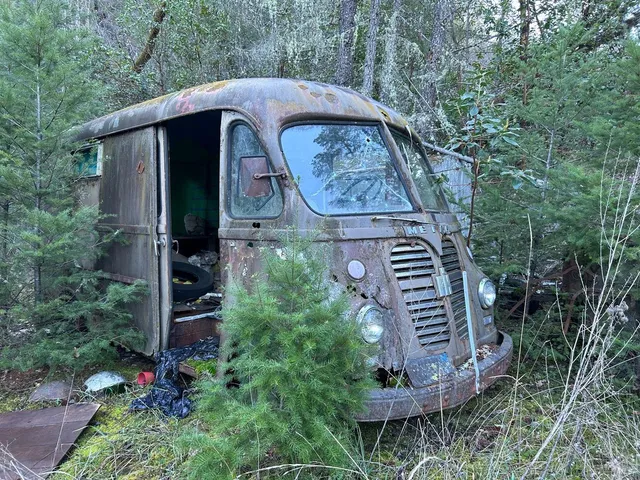 a view of a small house with a small yard plants and large tree