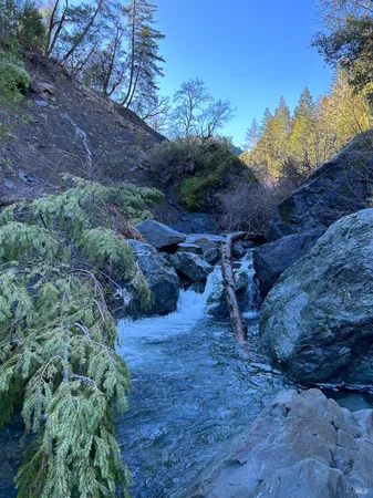 a view of a yard with wooden fence
