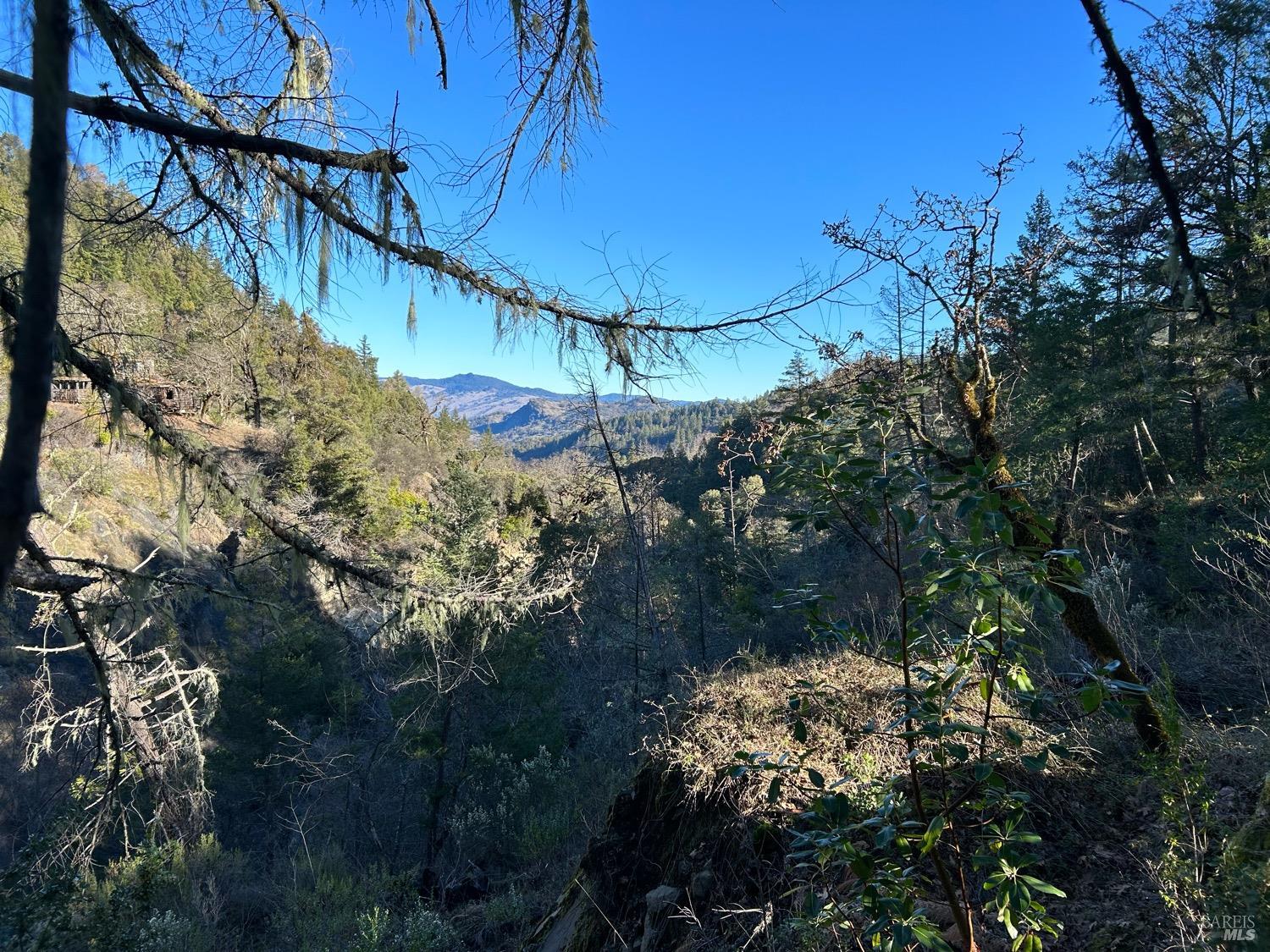 9000 Spyrock Road Covelo, CA 95428 - Photo 30 of 33 a view of a yard