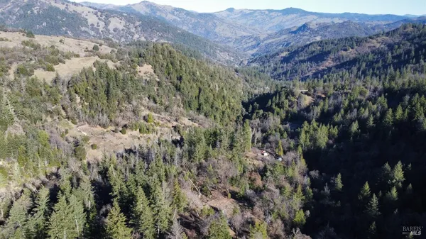 a view of a forest with mountains in the background