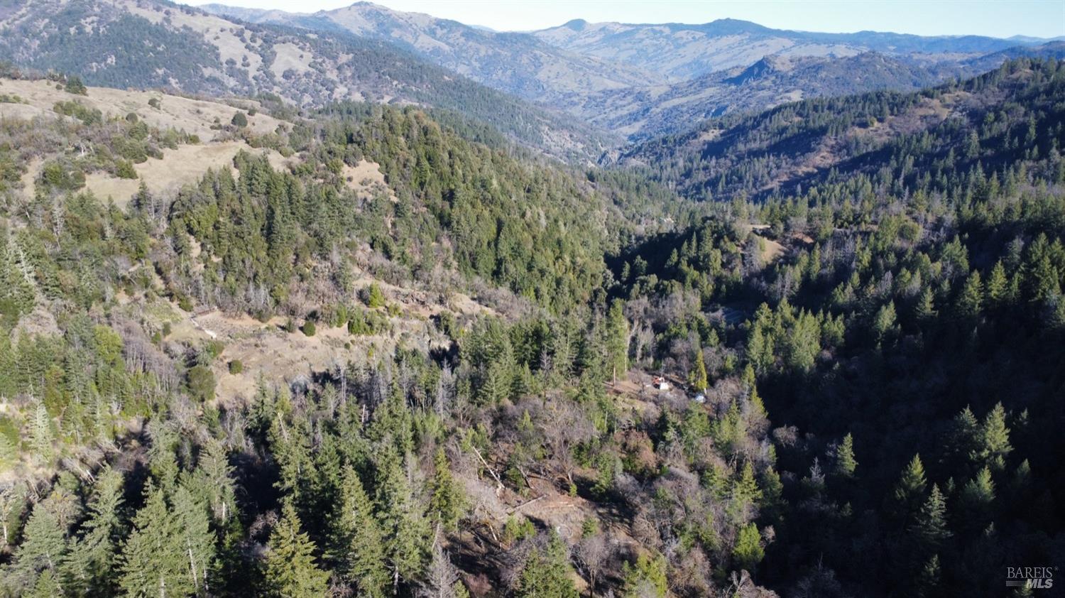 9000 Spyrock Road Covelo, CA 95428 - Photo 3 of 33 a view of a forest with mountains in the background