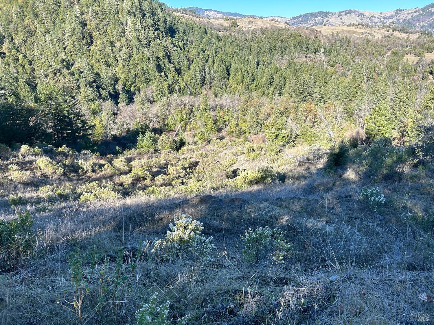 9000 Spyrock Road Covelo, CA 95428 - Photo 31 of 33 a view of a yard with trees