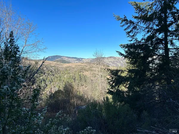 a view of mountain view with lots of trees