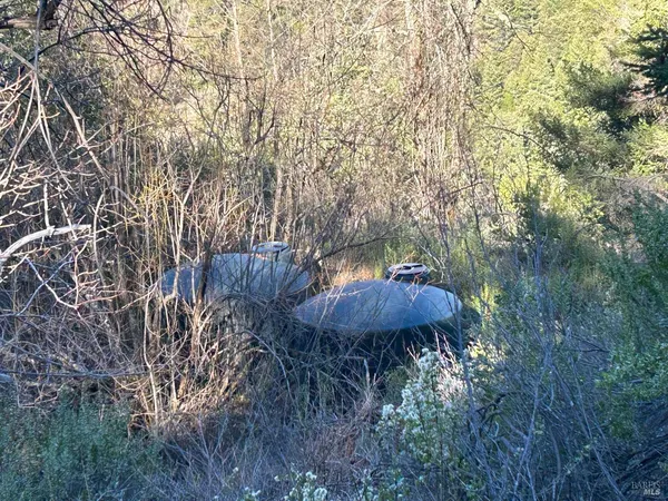 a view of a back yard