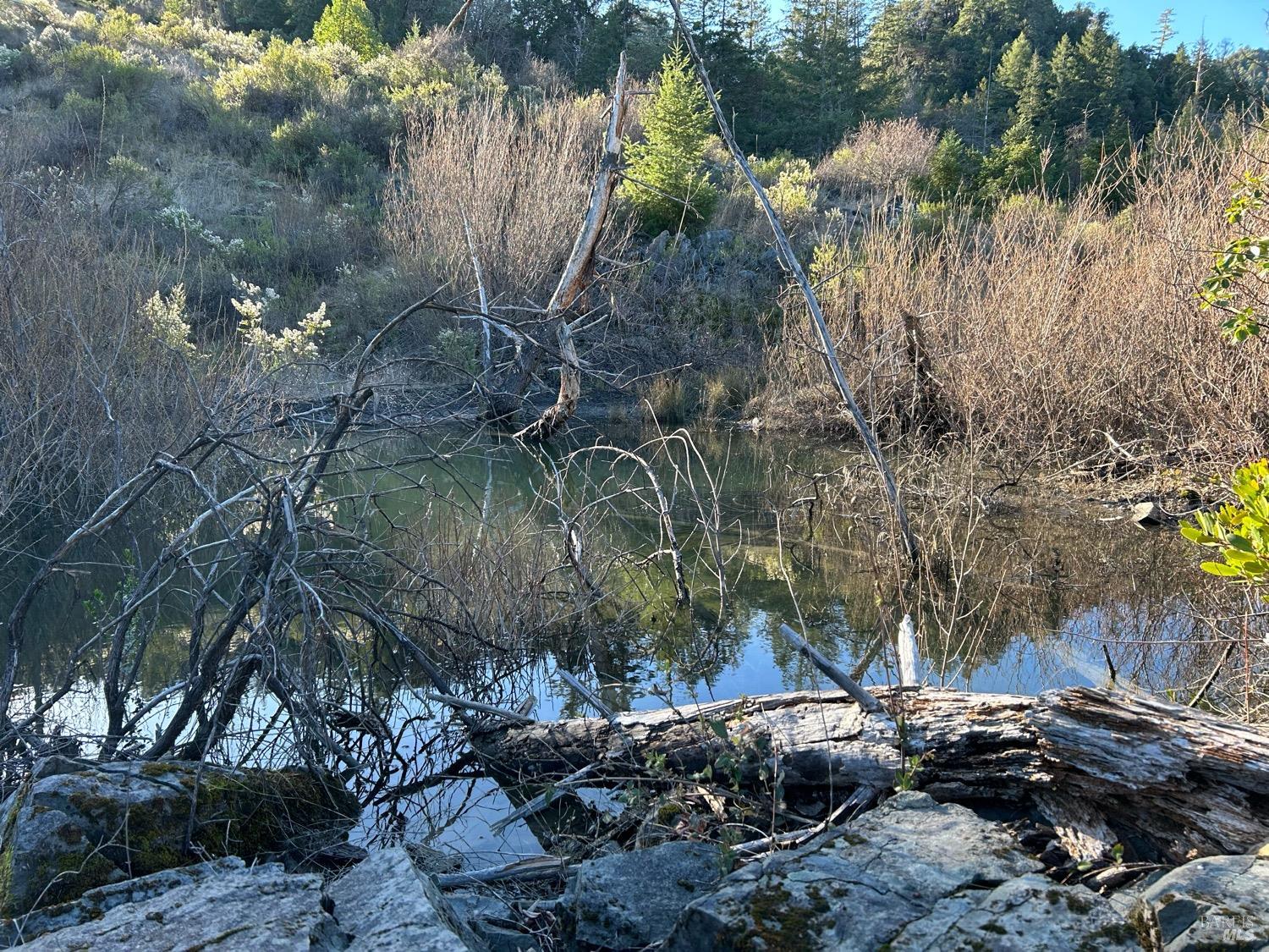 9000 Spyrock Road Covelo, CA 95428 - Photo 8 of 33 a backyard of a house with lots of green space