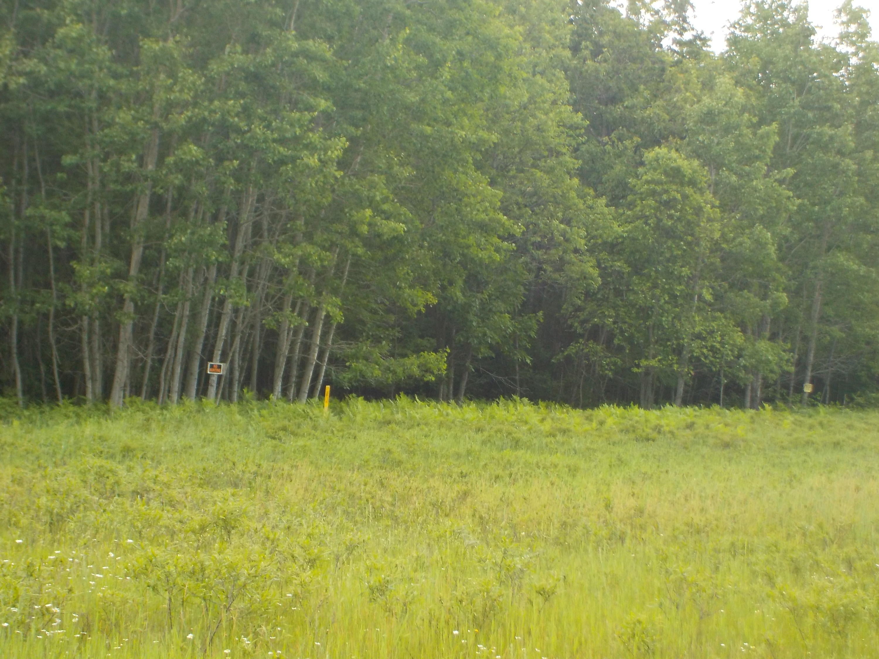 0 Goetsche Grayling, MI 49738 - Photo 5 of 13 Gallery Image 5