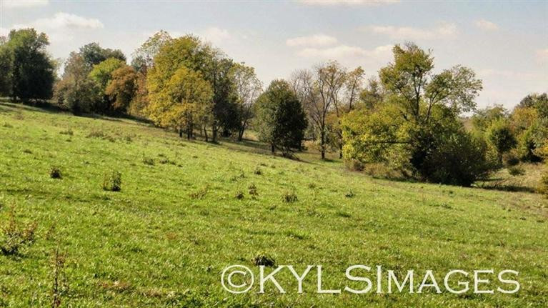 5 Dry Fork Road Danville, KY 40422 - Photo 6 of 6 Photo 6