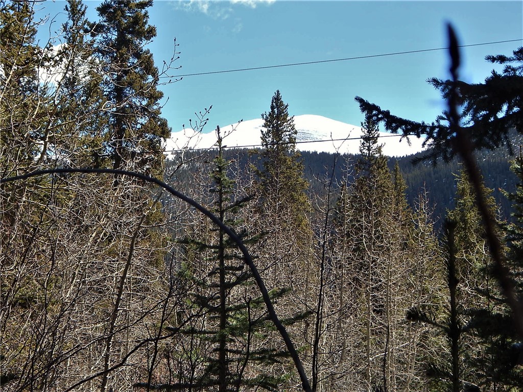 589 Mine Dump Road Alma, CO 80420 - Photo 1 of 26 Gallery Image 1