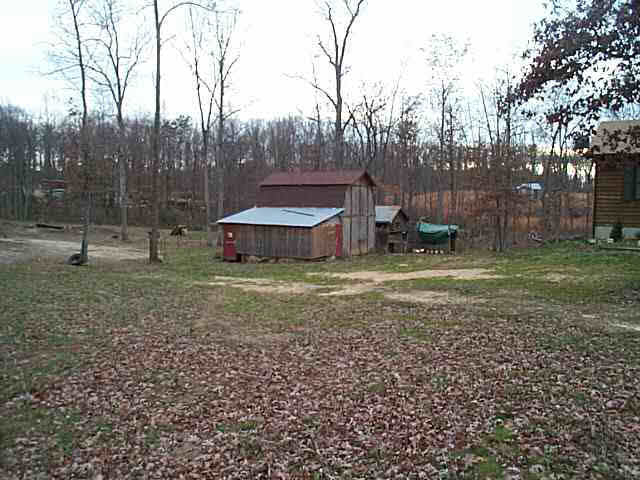 963 Doctors Road Louisa, VA 23093 - Photo 4 of 4 a view of a backyard with trees