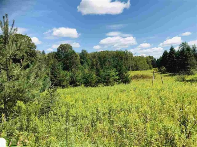 0 190th Avenue Reed City, MI 49677 - Photo 1 of 9 1878846