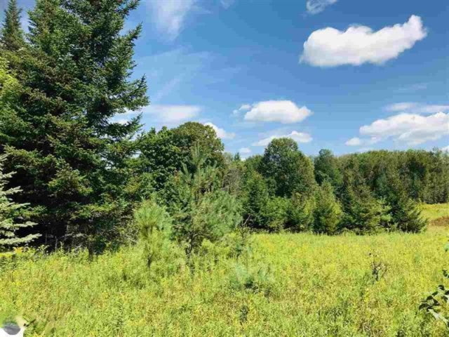 0 190th Avenue Reed City, MI 49677 - Photo 2 of 9 1878846-1