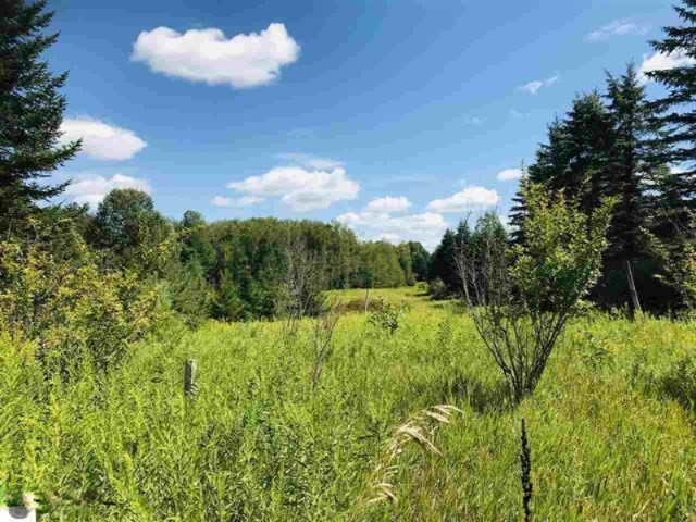 0 190th Avenue Reed City, MI 49677 - Photo 3 of 9 1878846-2