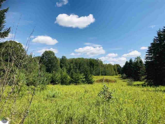0 190th Avenue Reed City, MI 49677 - Photo 4 of 9 1878846-3