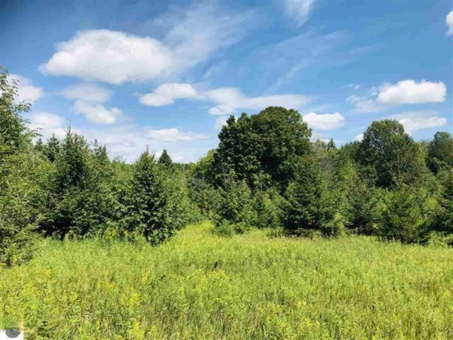0 190th Avenue Reed City, MI 49677 - Photo 6 of 9 1878846-5