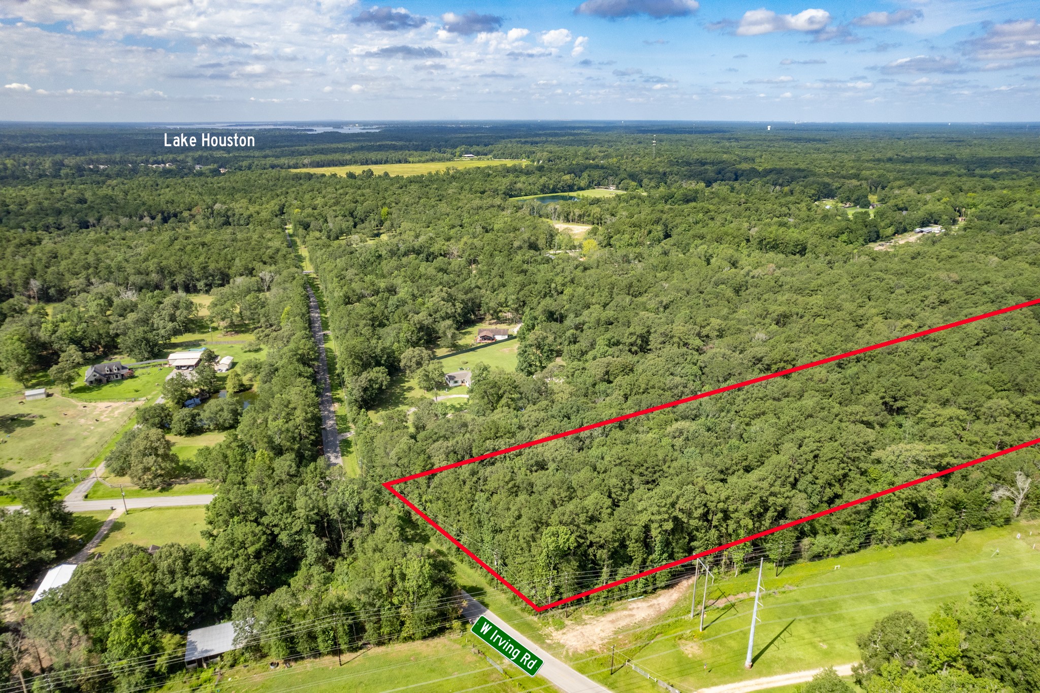a view of a yard with a lush green forest