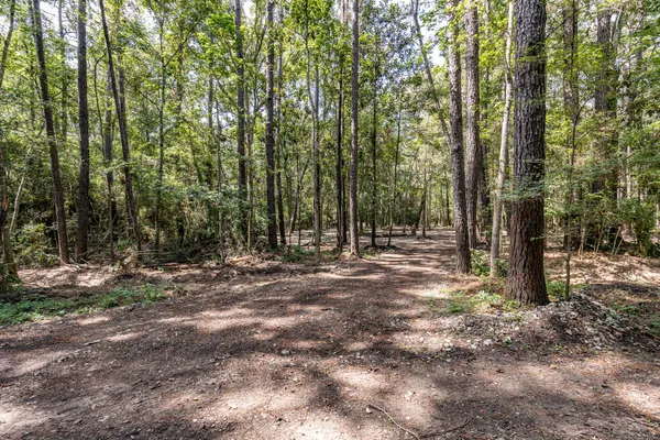 a view of outdoor space with trees