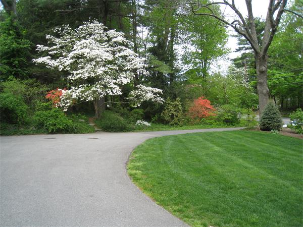 207 Concord Road Lincoln, MA 01773 - Photo 26 of 29 a view of a garden with a tree in the background