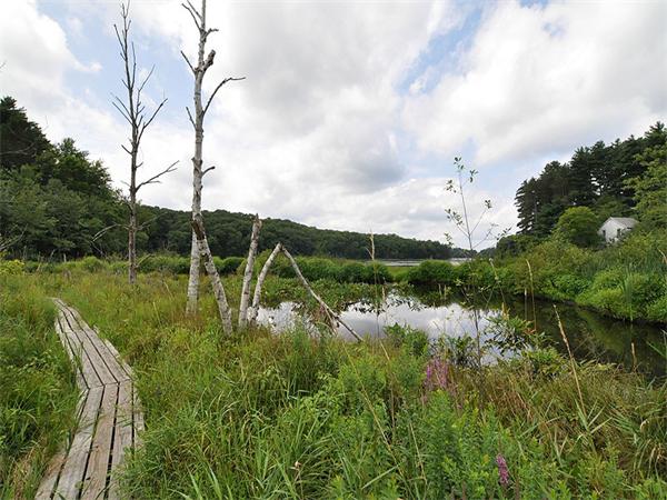 207 Concord Road Lincoln, MA 01773 - Photo 29 of 29 a view of a lake with a big yard