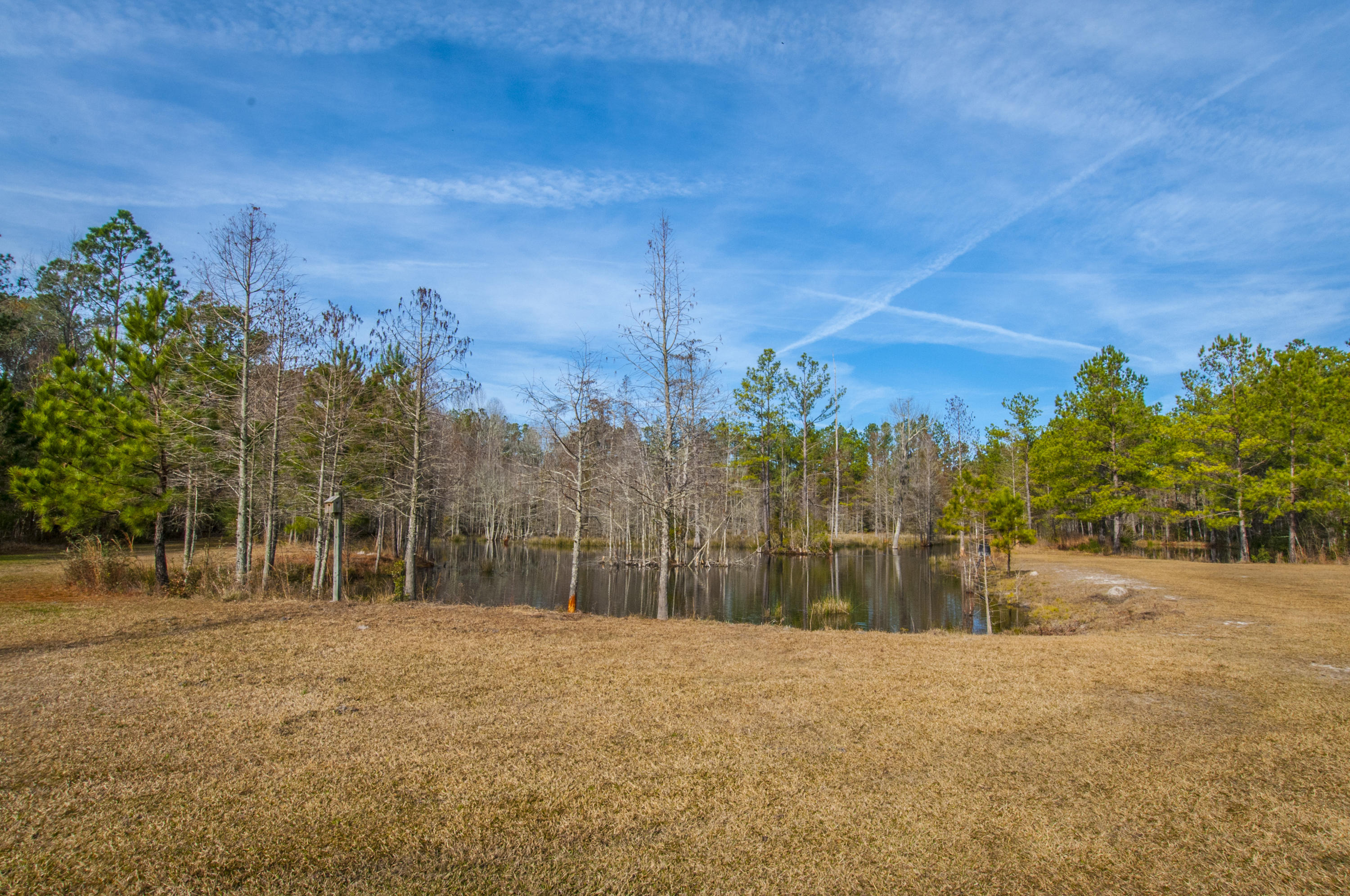 7259 Pleasant Grove Road Round O, SC 29474 - Photo 54 of 68 _DSC6409