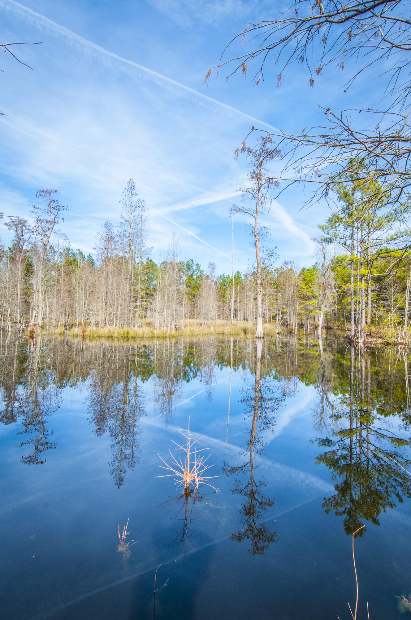7259 Pleasant Grove Road Round O, SC 29474 - Photo 64 of 68 _DSC6420