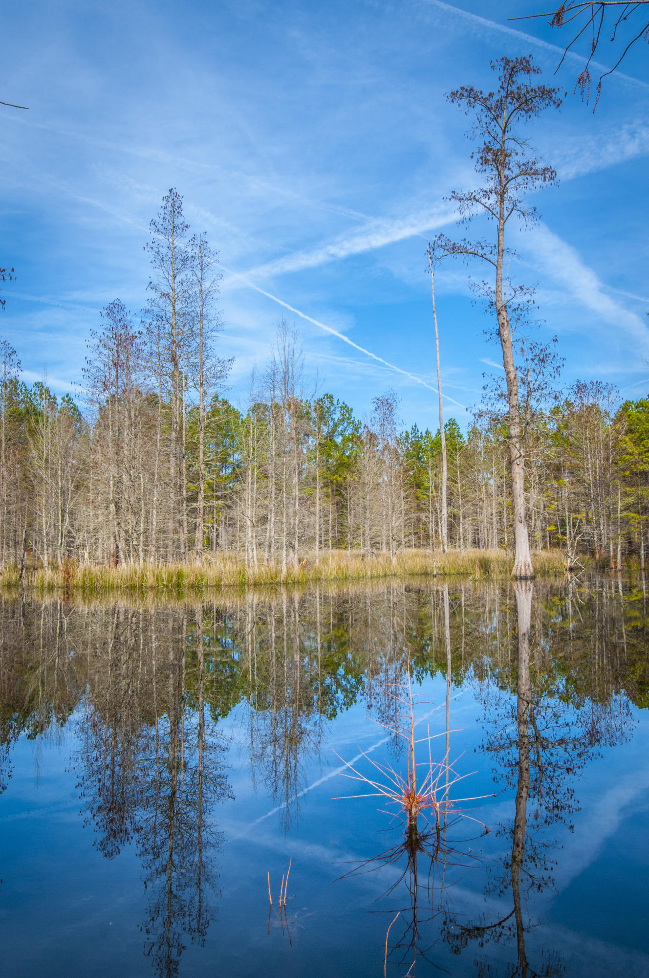 7259 Pleasant Grove Road Round O, SC 29474 - Photo 65 of 68 _DSC6421