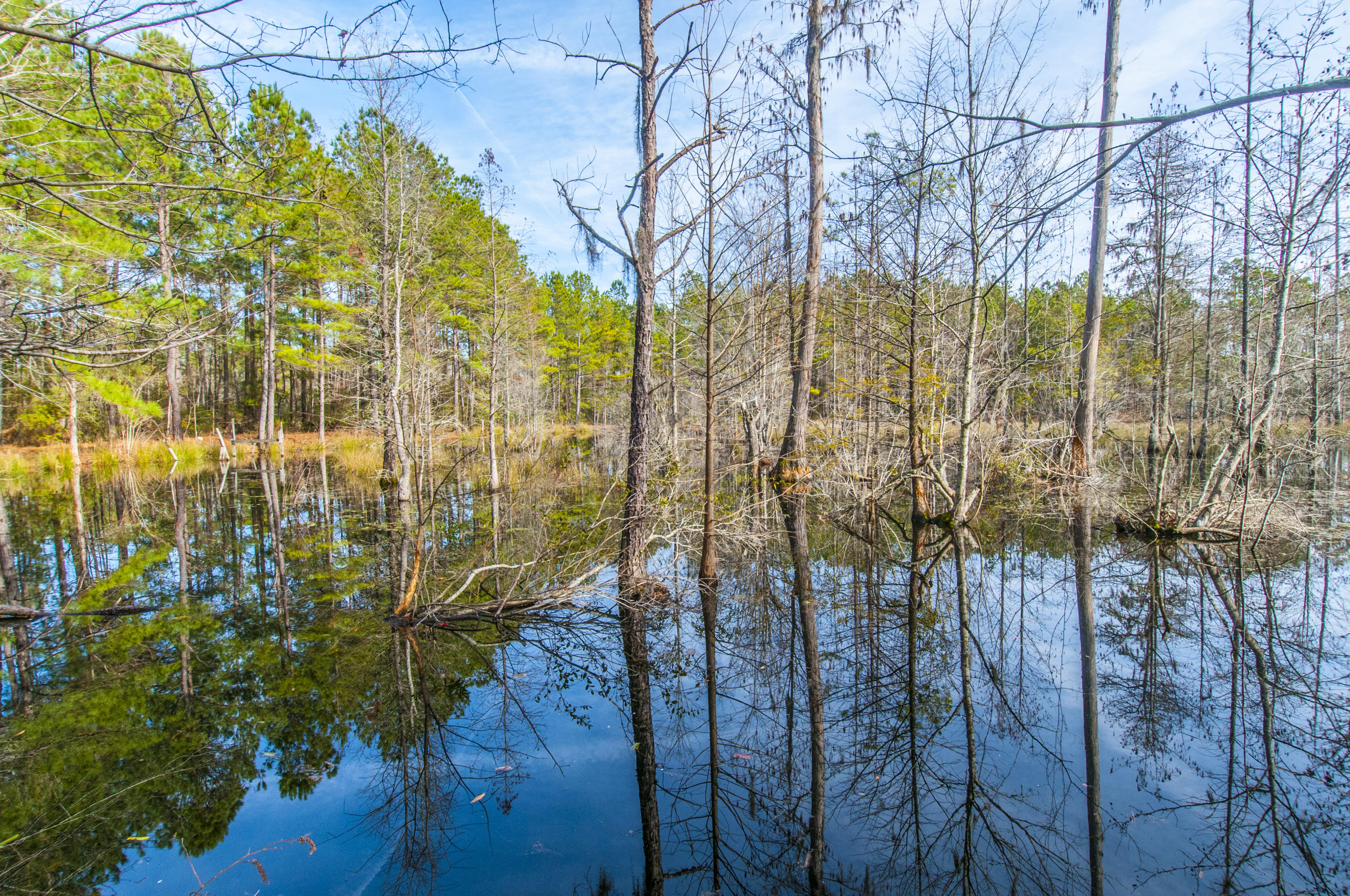 7259 Pleasant Grove Road Round O, SC 29474 - Photo 68 of 68 _DSC6424