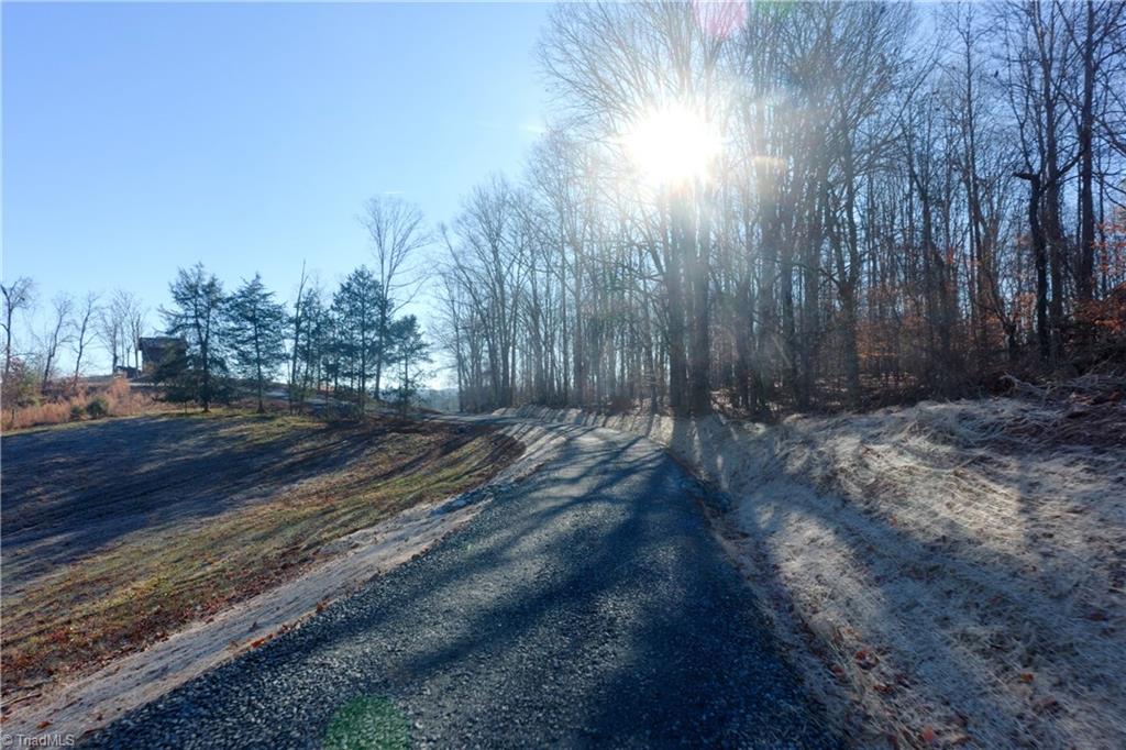 2 Roby Fulk Road Pinnacle, NC 27043 - Photo 4 of 24