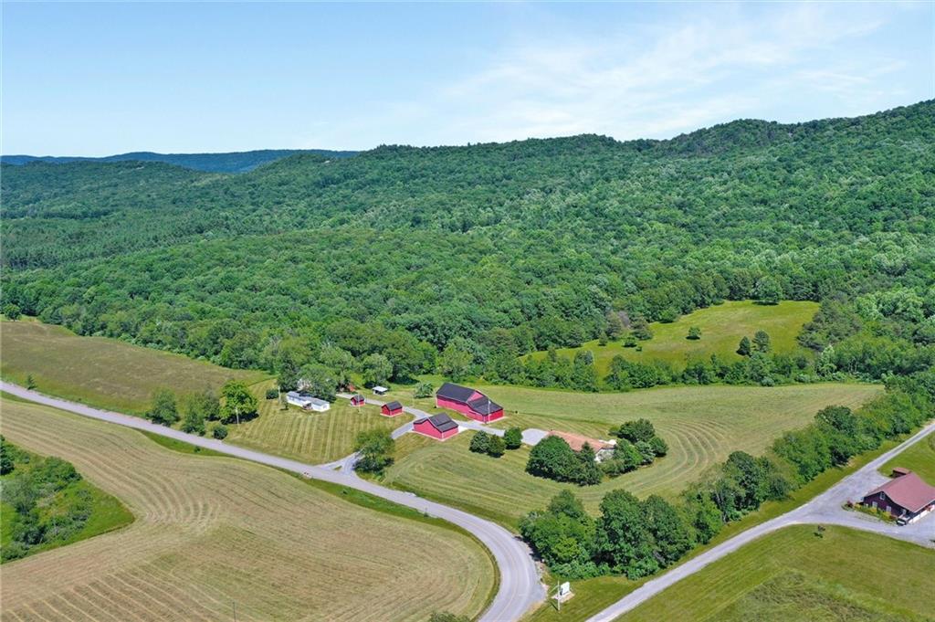 188 East Dutch Corner Road McConnellsburg, PA 17233 - Photo 24 of 25 a view of a lush green field