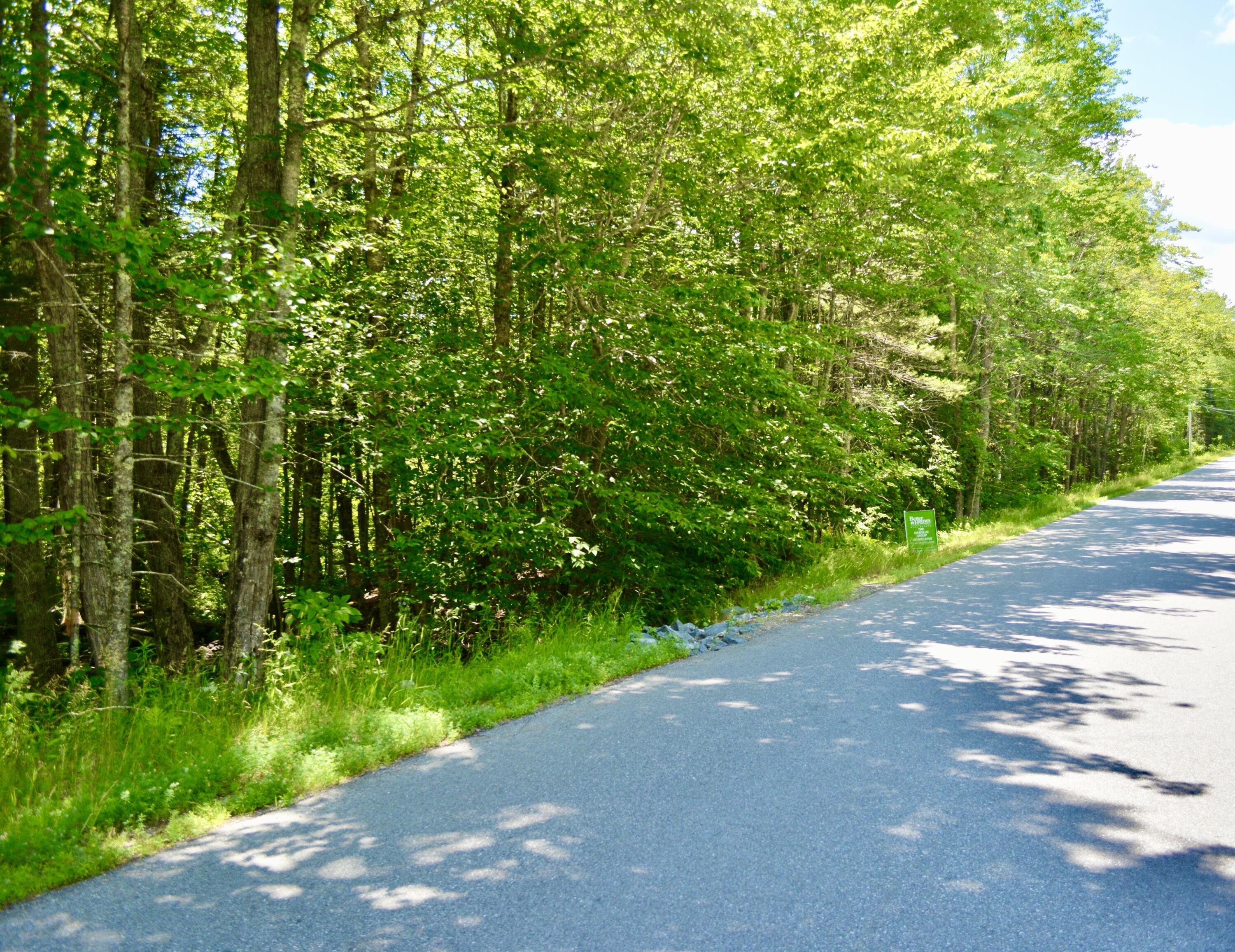 0 Savery Road Searsport, ME 04974 - Photo 4 of 20 Road frontage South view