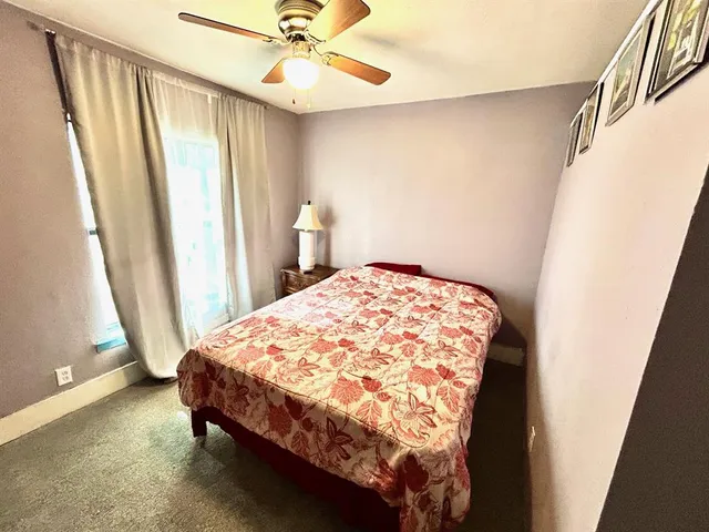 a street view with large trees