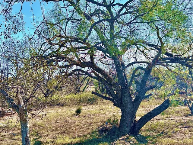 $283,000 | 5400 County Road 147, Brownwood, TX 76801