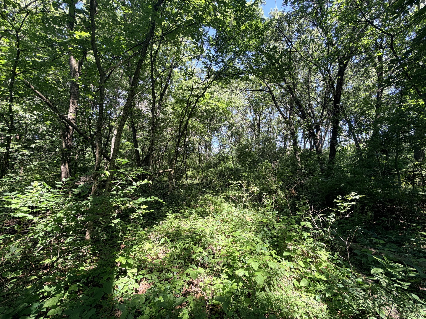 0 East 25th Road Marseilles, IL 61341 - Photo 22 of 30