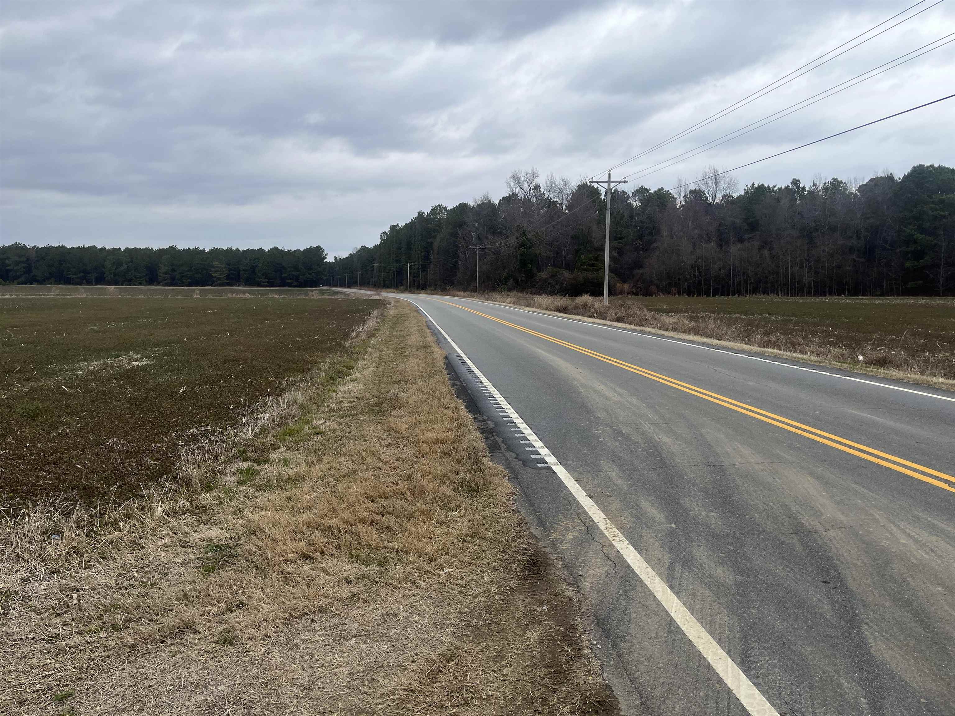 Centerville Road Latta, SC 29565 - Photo 6 of 10 Gallery Image 6