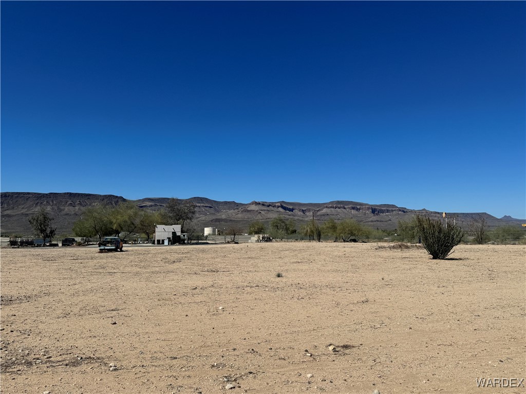 12248 South Yucca Frontage Road Yucca, AZ 86438 - Photo 10 of 16 a view of tall trees with a yard