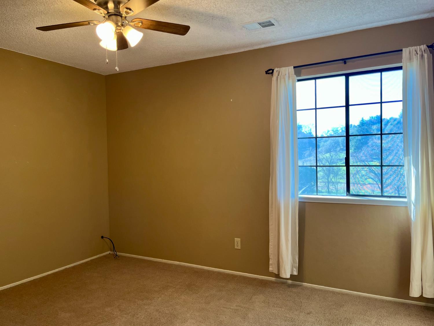 10747 Mt Vernon Road Auburn, CA 95603 - Photo 22 of 33 an empty room with a window and a ceiling fan