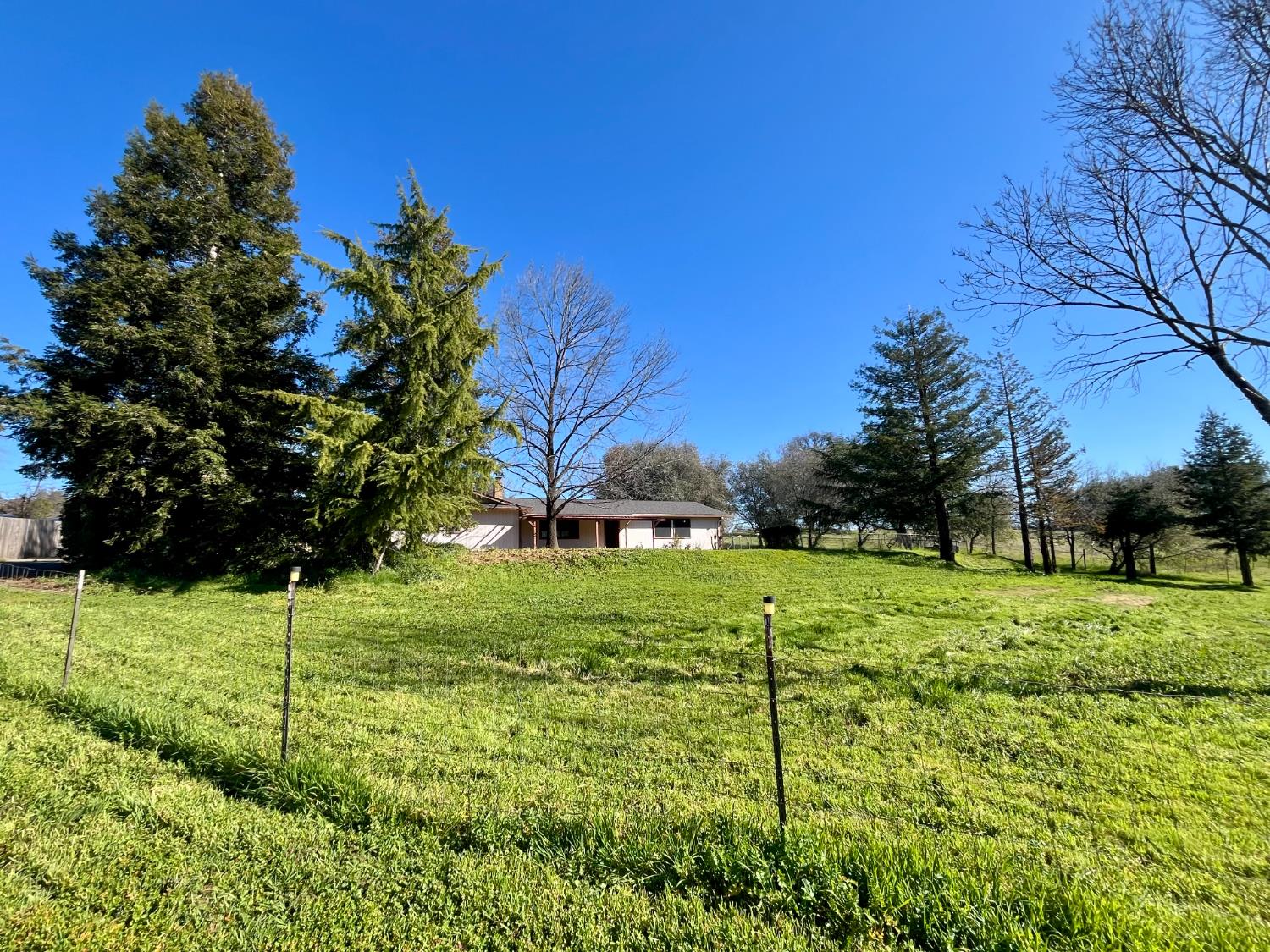 10747 Mt Vernon Road Auburn, CA 95603 - Photo 7 of 33 a view of a grassy field with trees