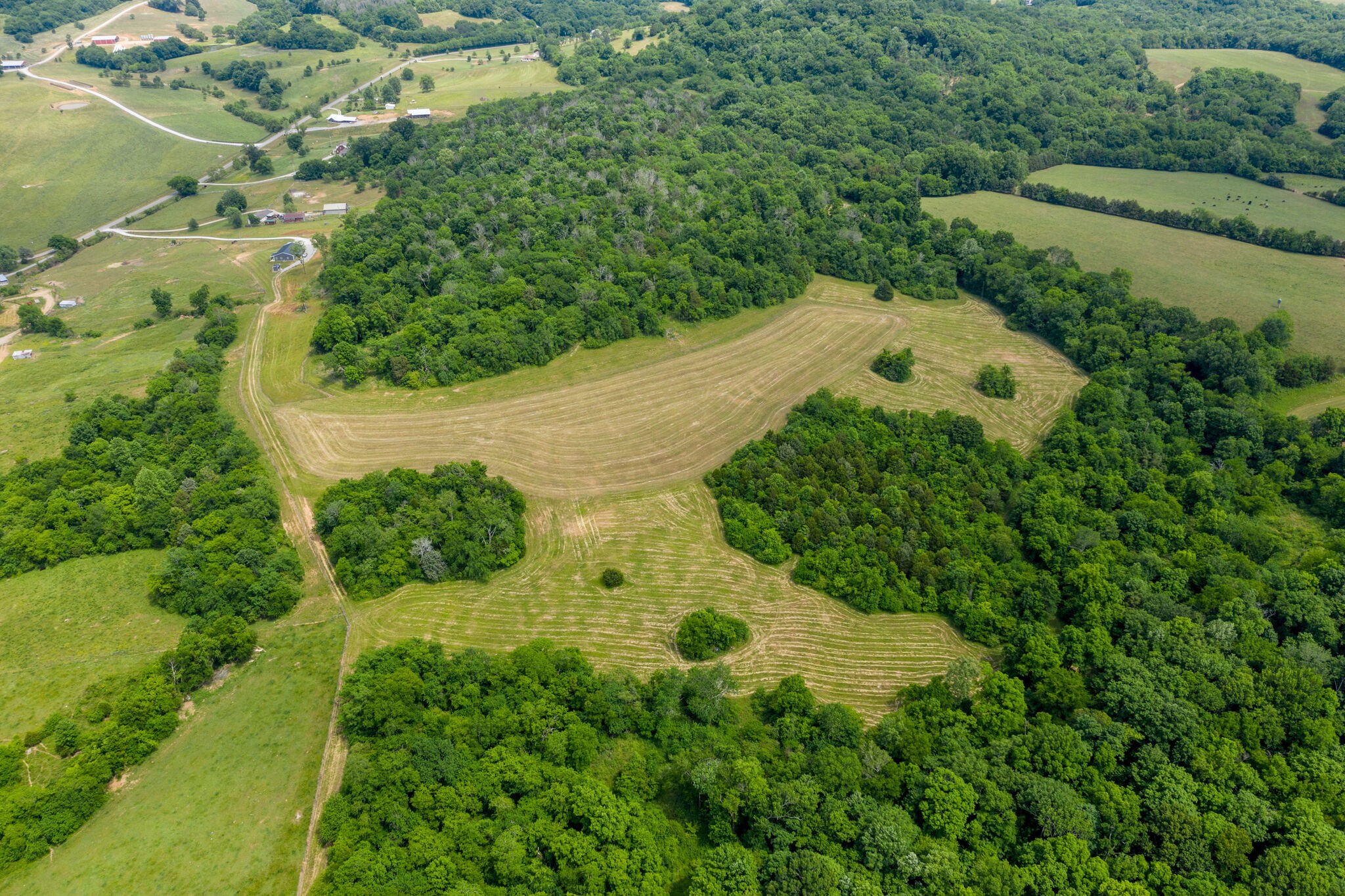 2220 Abernathy Road Lynnville, TN 38472 - Photo 24 of 31 Gallery Image 24
