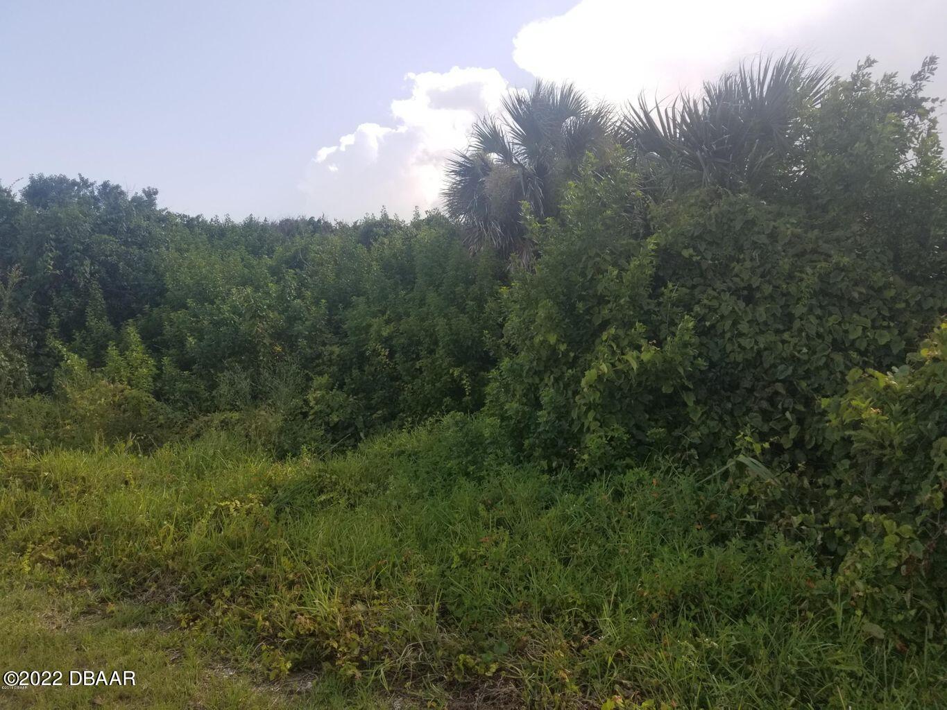 4570 South Peninsula Drive Ponce Inlet, FL 32127 - Photo 3 of 7 Front of Lot