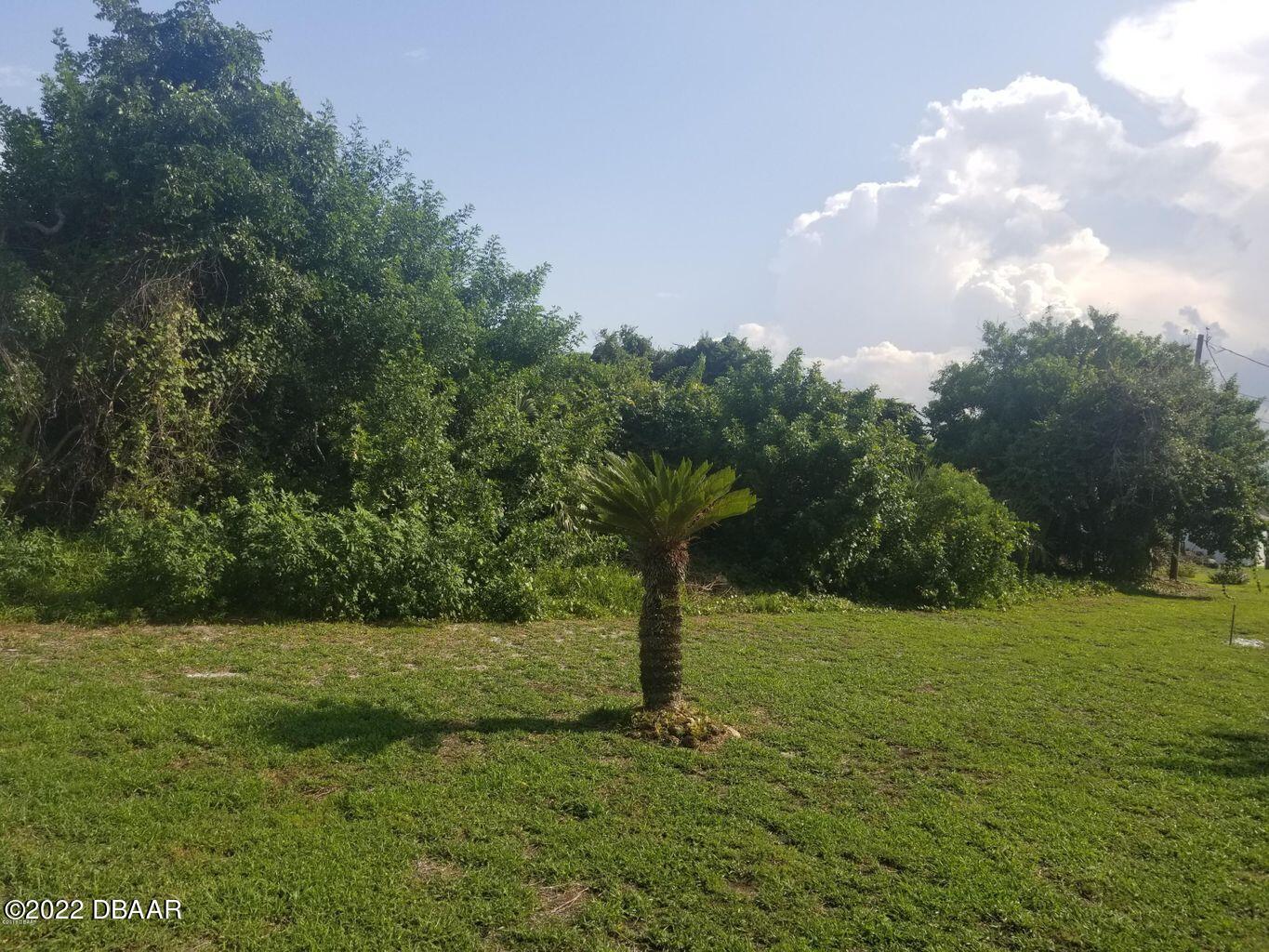 4570 South Peninsula Drive Ponce Inlet, FL 32127 - Photo 4 of 7 North Side of Lot