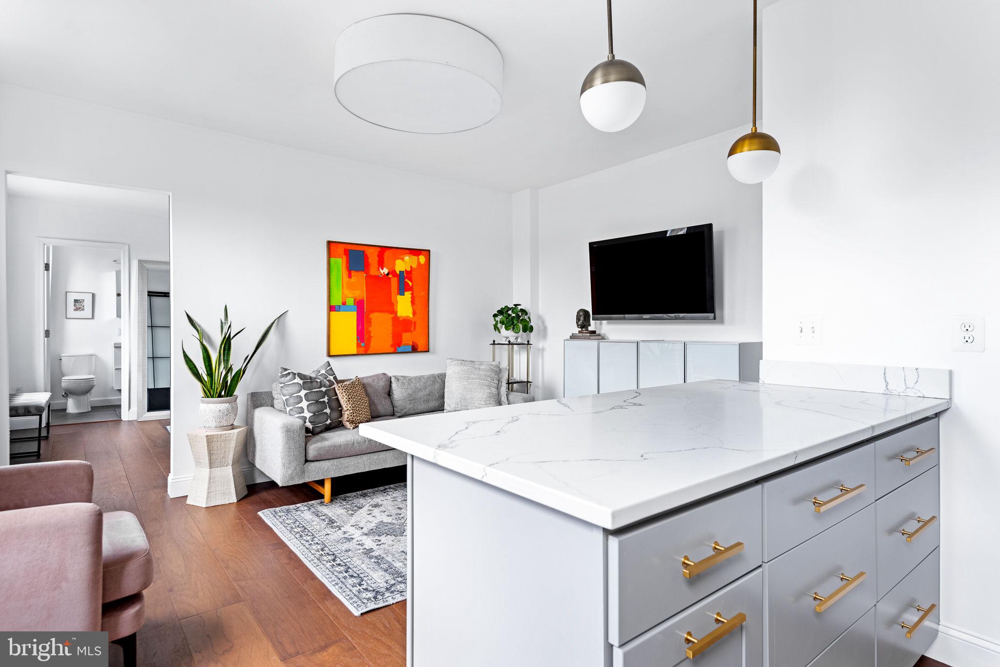2801 Adams Mill Road Northwest, Unit 407 Washington, DC 20009 - Photo 10 of 35 Gallery Image 10